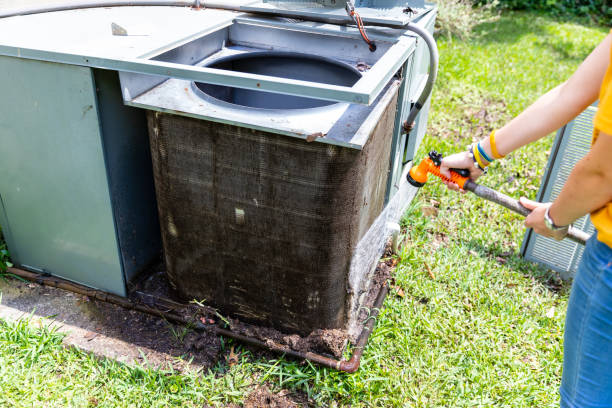 Best Local Air Duct Cleaning Services  in Willards, MD